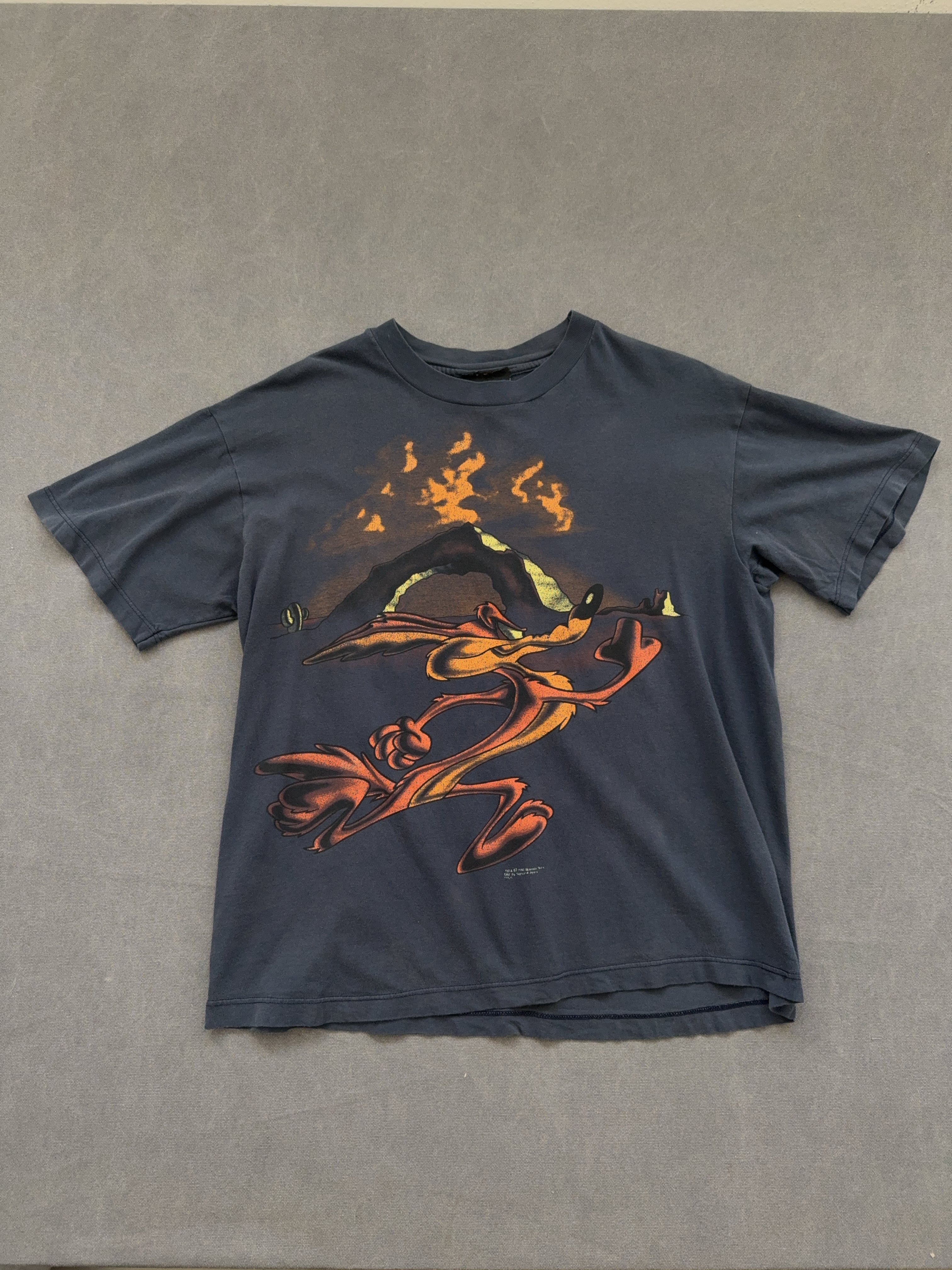 Vintage Warner Bros. T-shirt (L)