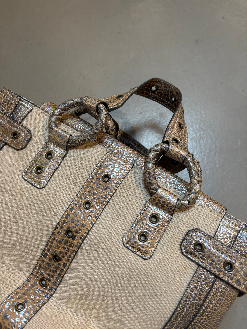 Vintage Beige Just Cavalli Mini Bag With Gold Details