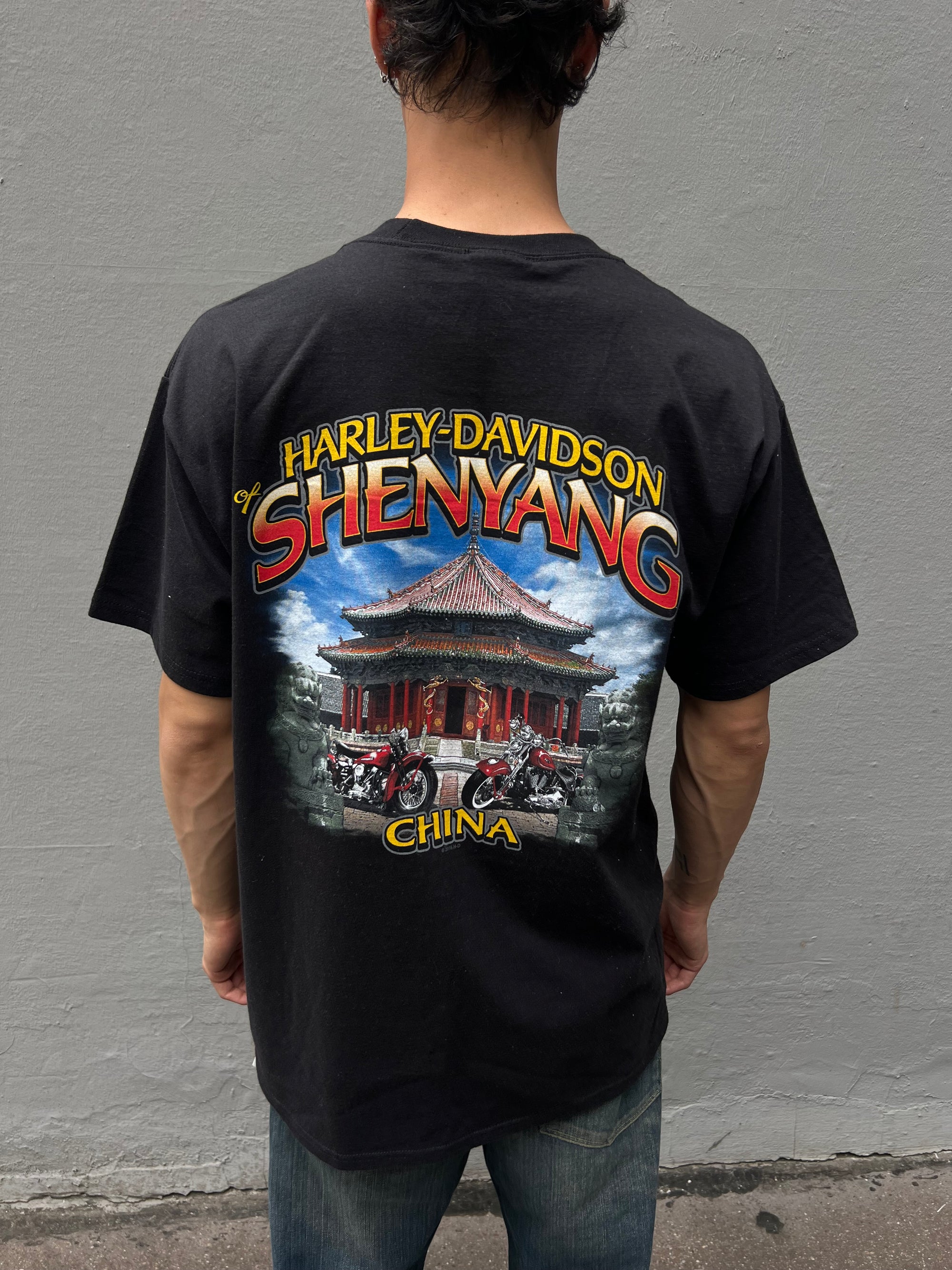 Vintage Harley Davidson Skull Tee L/XL