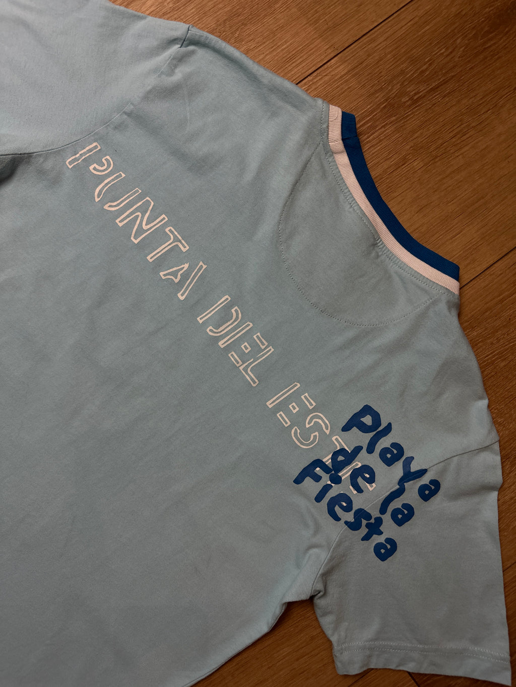 Detailbild von einem Vintage Blue Asics Graphic Tee von Backprint
