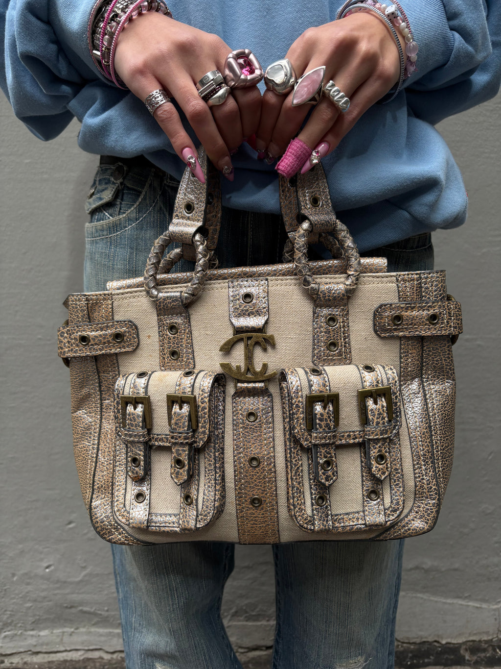 Vintage Beige Just Cavalli Mini Bag With Gold Details
