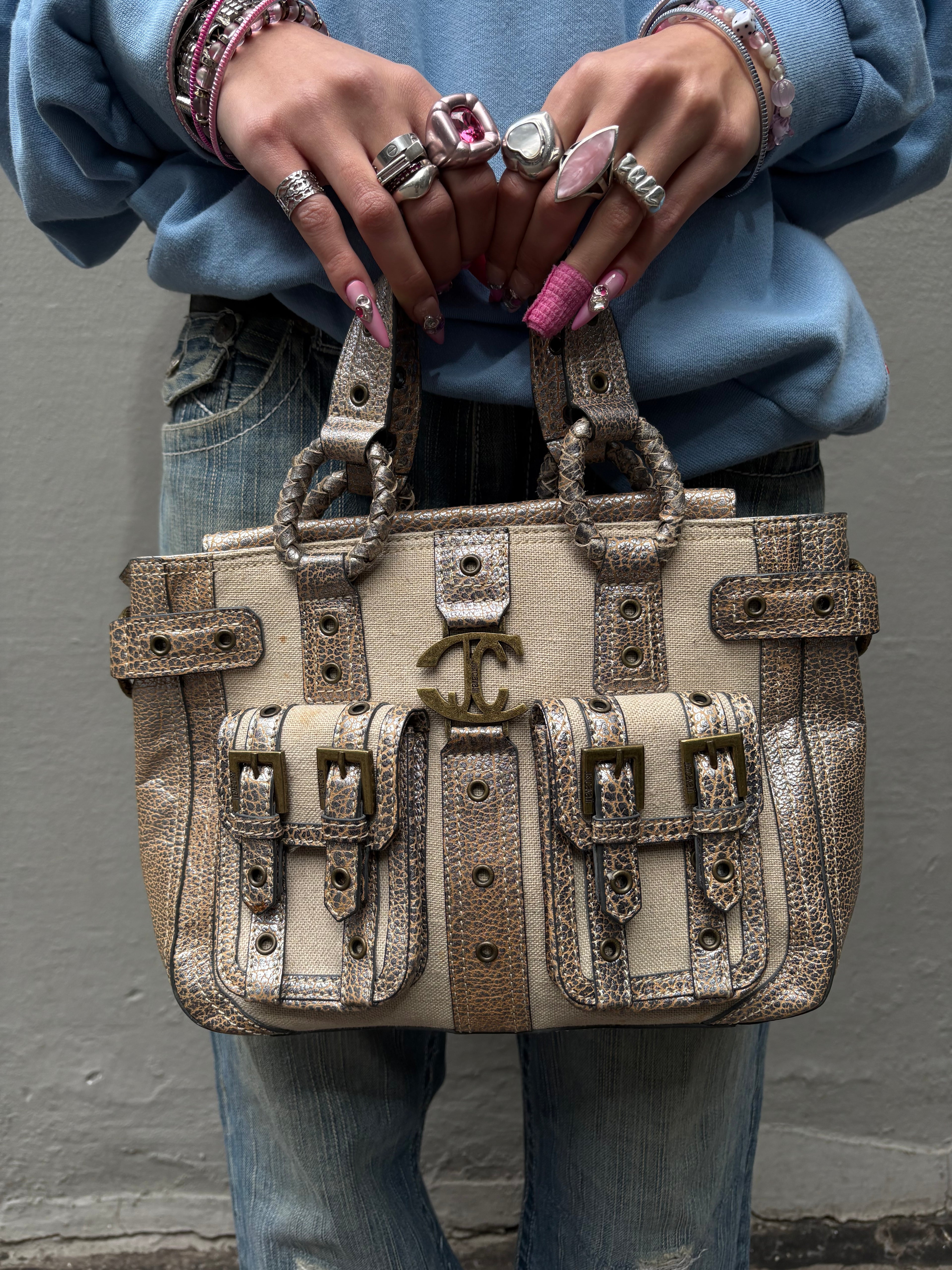 Vintage Beige Just Cavalli Mini Bag With Gold Details